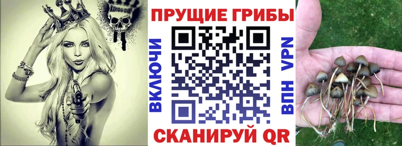 Псилоцибиновые грибы мухоморы  OMG зеркало  Игарка 
