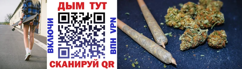 Каннабис сатива  blacksprut как войти  Игарка 
